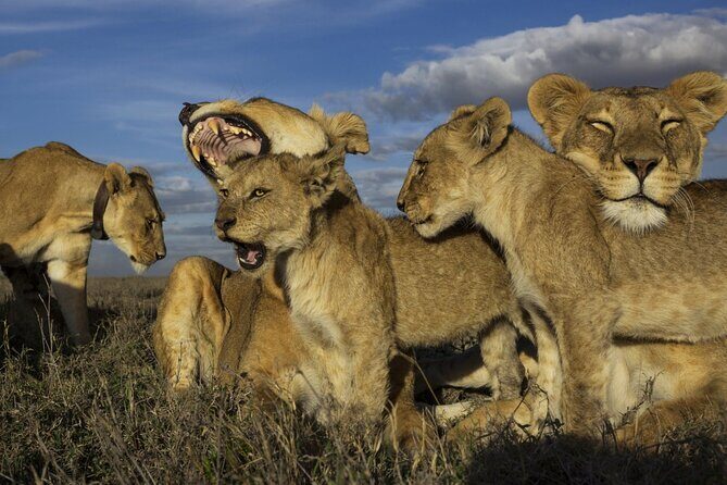 3 Day Tanzania Serengeti & Ngorongoro Crater Safari - What’s Included and What’s Not