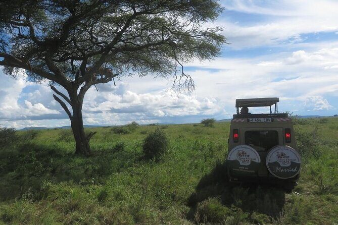 3 Day Tanzania Serengeti & Ngorongoro Crater Safari - Handling Dietary Needs and Personal Preferences