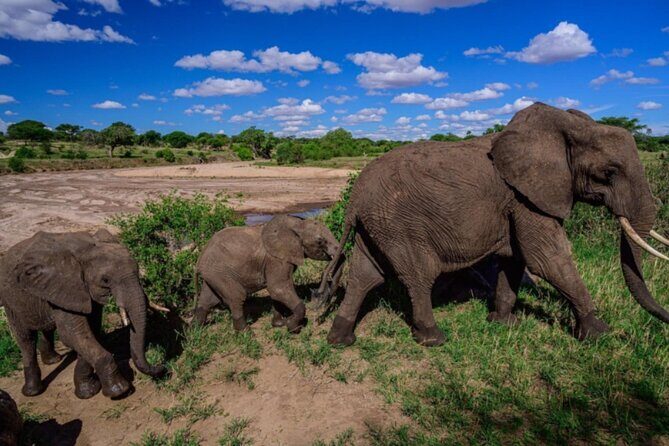 3-Day Tarangire, Lake Manyara and Ngorongoro - Who Is This Tour Best Suited For?