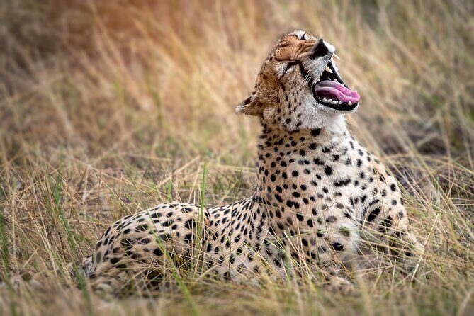 3-Day Tarangire, Lake Manyara and Ngorongoro - The Sum Up