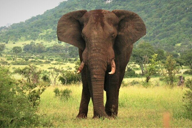 3-Day Tarangire, Lake Manyara and Ngorongoro - FAQs