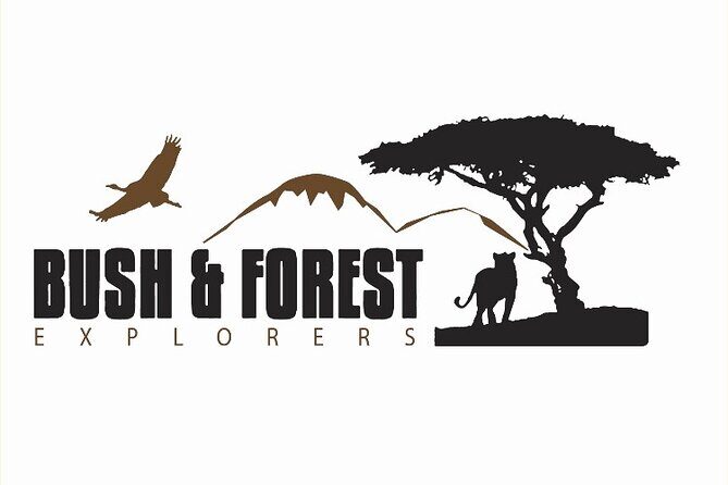 3-Day Tarangire, Ngorongoro and Lake Manyara Camping Safari - A Closer Look at the 3-Day Itinerary