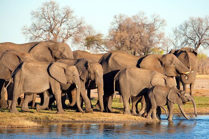 3-Day Tarangire, Ngorongoro and Lake Manyara Camping Safari - Practical Details and Tips