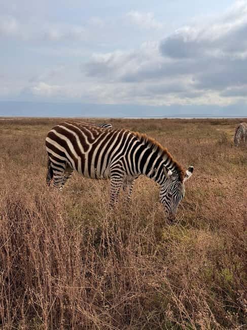 3-Day Tarangire Ngorongoro, Manyara Safari from Zanzibar - An In-Depth Look at the 3-Day Safari Experience