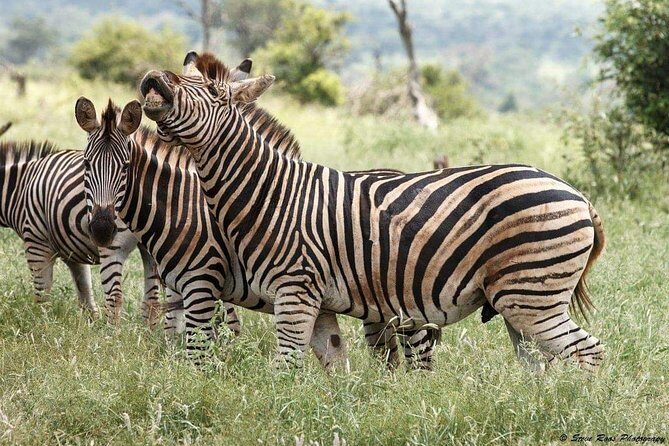 3-Day Tarangire NP, Manyara NP & Ngorongoro Crater - Who Should Consider This Tour?