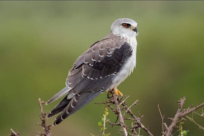3-Day Tarangire NP, Manyara NP & Ngorongoro Crater - Final Thoughts: Is It Worth It?