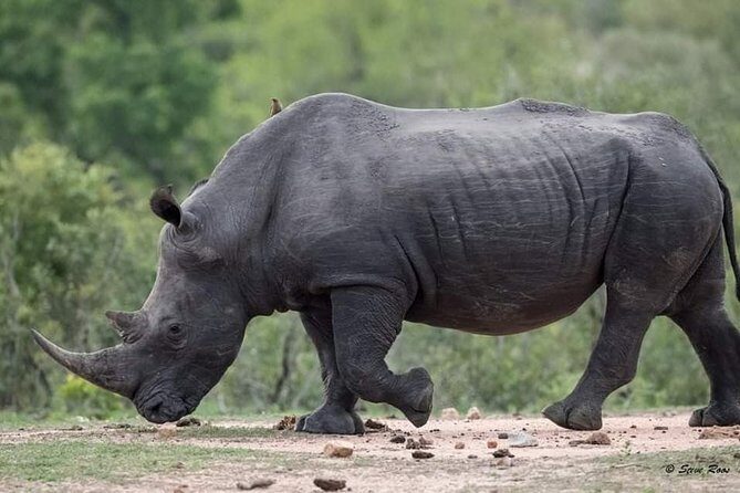 3-Day Tarangire NP, Manyara NP & Ngorongoro Crater - FAQ