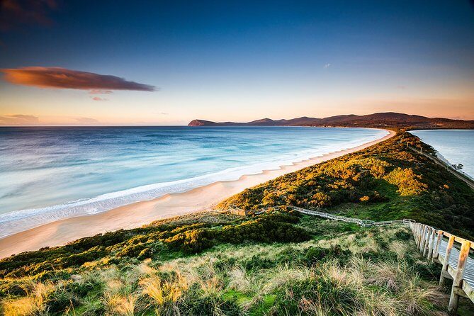 3 day Tasmanian highlights tour  Hobart, Port Arthur and Bruny Island - Day 2: Exploring Bruny Islands Natural Wonders