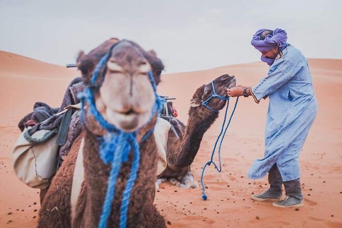 3 Day to Sahara Desert Trip From/To Marrakech - Practical Details and Tips