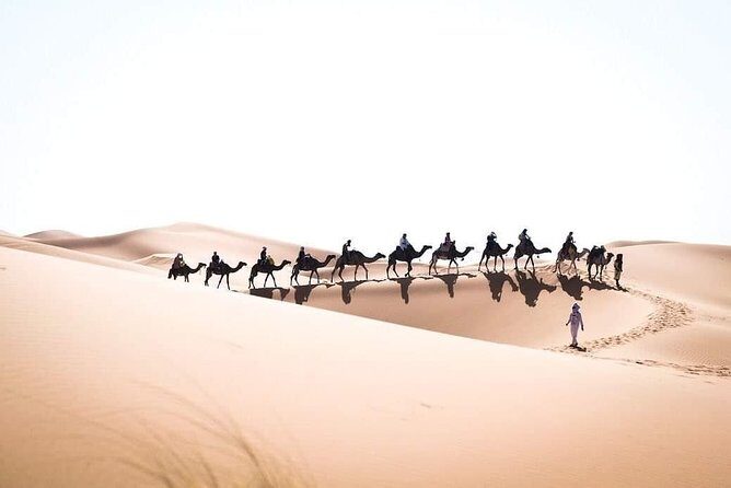 3 Day to Sahara Desert Trip From/To Marrakech - The Sum Up