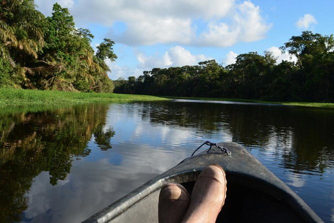 3-day-tortuguero-expedition