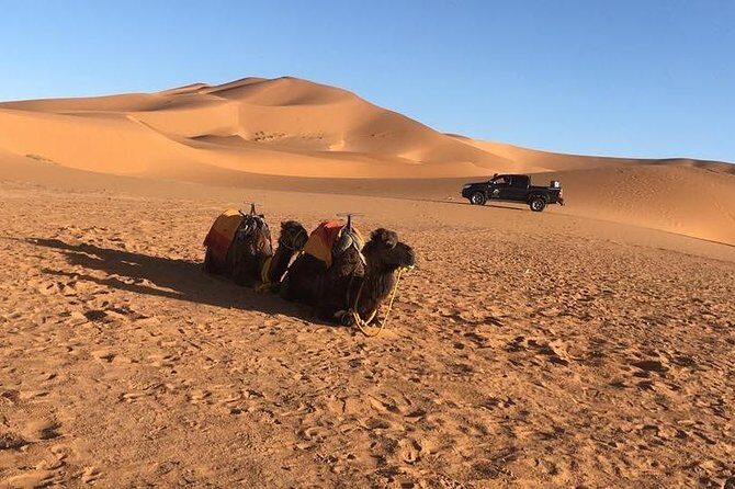 3-Day Tour from Marrakech to Fes with Desert Break - Frequently Asked Questions