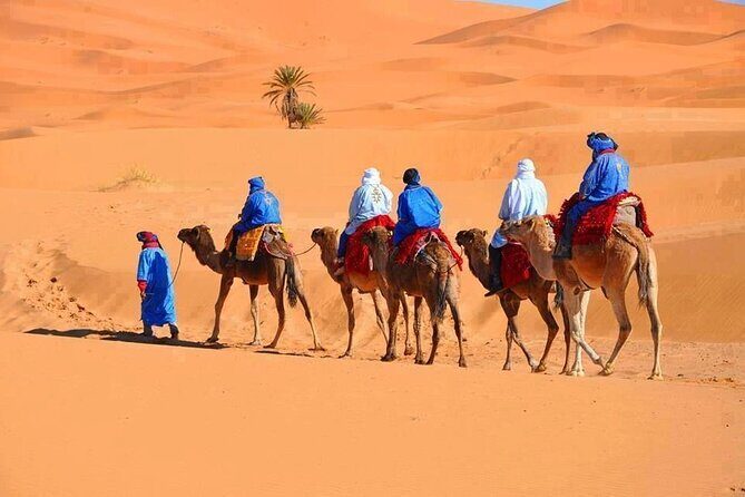 3-Day Tour from Marrakech to Merzouga Desert - Key Points