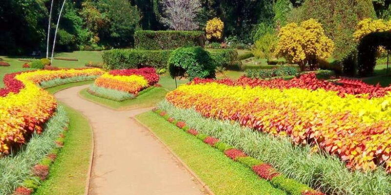 3-day-tour-from-your-hotel-explore-kandy-ella-and-yala