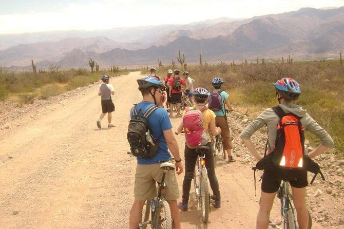 3-day-tour-of-cachi-laguna-brealito-and-national-park-los-cardones