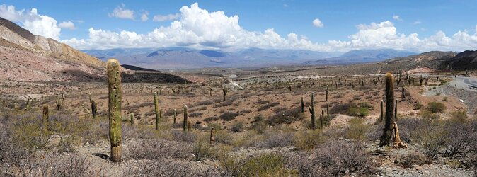 3-day-tour-of-cachi-laguna-brealito-and-national-park-los-cardones