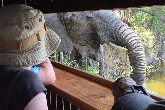 3-Day Tour of Kruger National Park from Skukuza Airport - Key Points