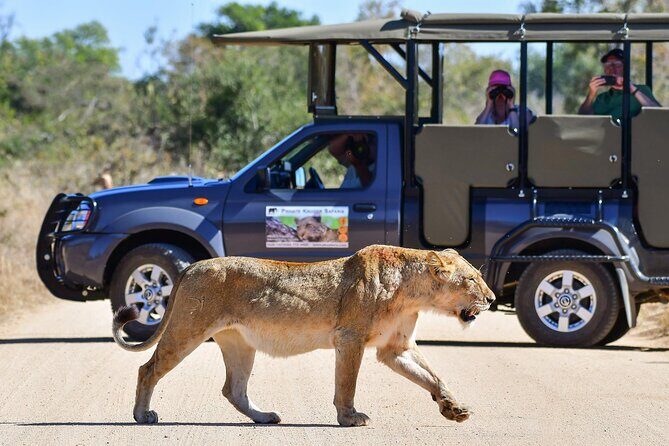 3-Day Tour of Kruger National Park from Skukuza Airport - Authentic Experiences from Guest Feedback