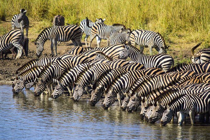 3-Day Tour of Kruger National Park from Skukuza Airport - Who Is This Tour Best For?