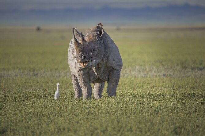 3 Day tour Tarangire, Ngorongoro crater & Lake Manyara - An In-Depth Look at the 3-Day Safari Itinerary