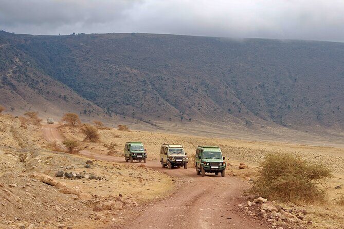 3 Day tour Tarangire, Ngorongoro crater & Lake Manyara - Authentic Experiences from Past Travelers  
