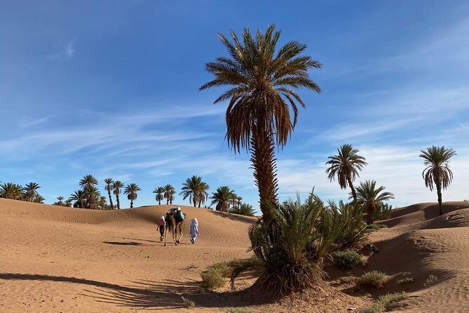 3-day trek - In the shade of palm trees - Key Points