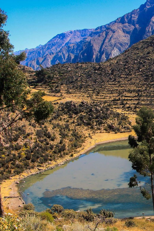 3-day-trek-to-the-colca-canyon-from-arequipa-ending-in-puno