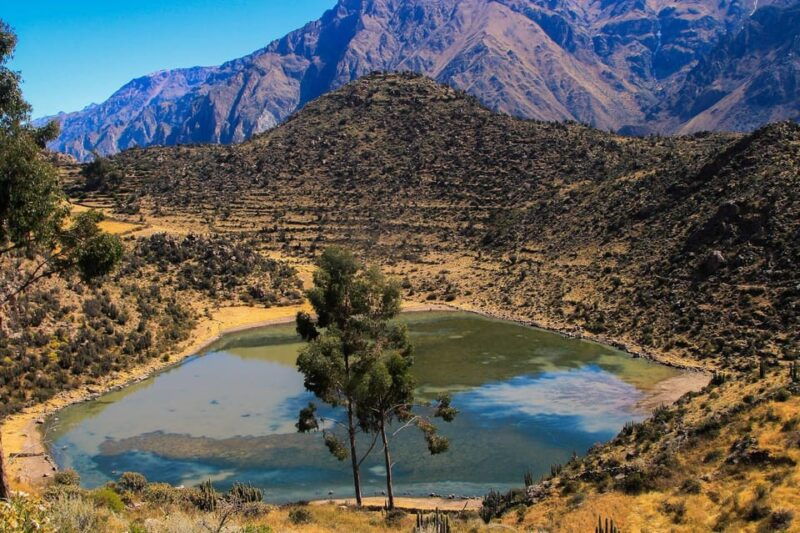 3-day-trek-to-the-colca-canyon-from-arequipa-ending-in-puno