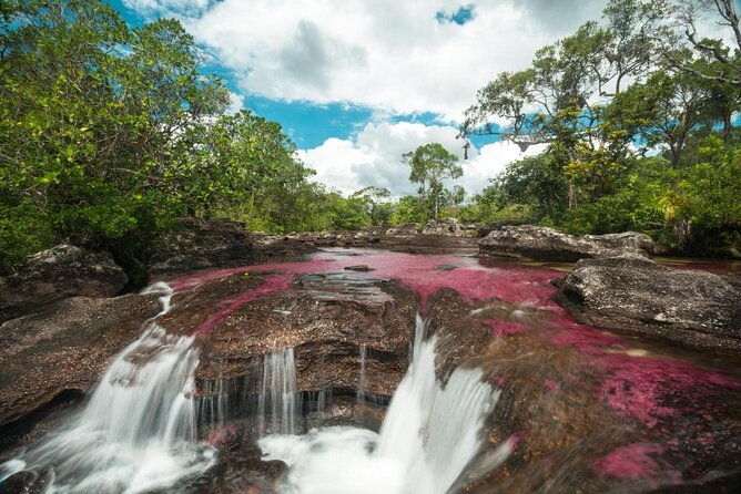 3-day-trip-to-cano-cristales-from-bogota