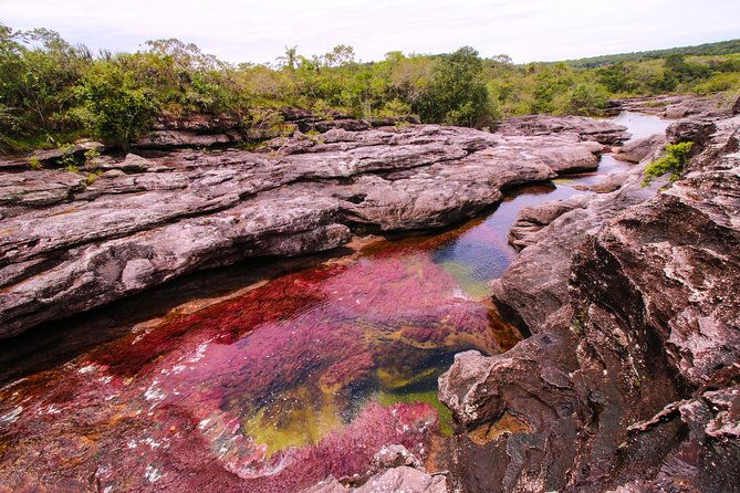 3-day-trip-to-cano-cristales-from-bogota