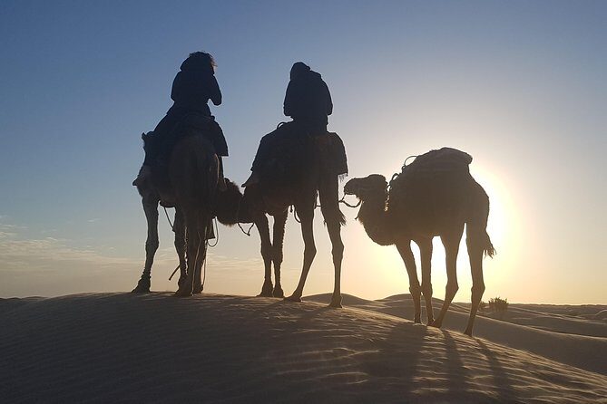 3-Day Tunisia Sahara Desert Camel Trek from Douz - Final Thoughts: Is This Tour for You?