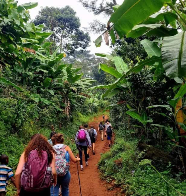3-Day Udzungwa Mountains Trekking - Authentic Experiences and Practical Insights