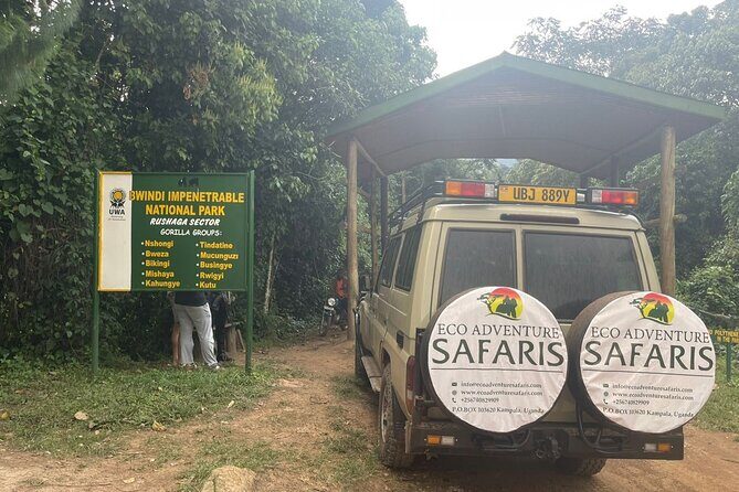 3 Day Uganda Gorilla Trekking and Batwa Pygmies Experience - The Gorilla Trek: A Once-in-a-Lifetime Experience