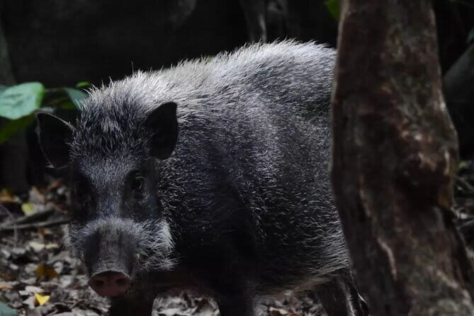 3-Day Ujung Kulon National Park Private Guided Tour - Authentic Insights from Travelers