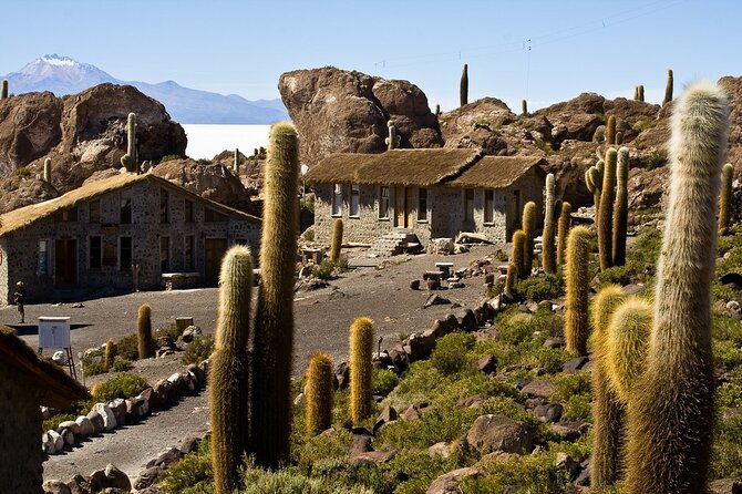 3-day-uyuni-salt-flat-tour-with-sunset-and-red-lagoons