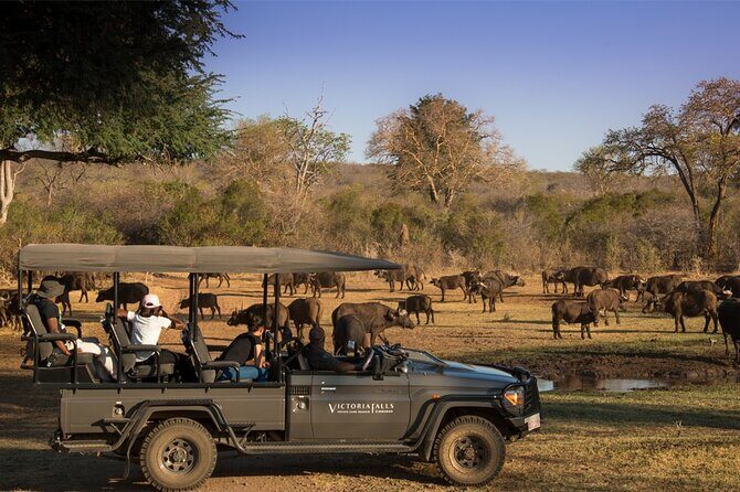 3-Day Victoria Falls Safari with Dinner Cruise - FAQs