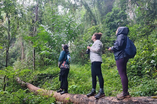 3 Day Wild Gibbon Adventure with Karen Community Homestay - Why This Tour Offers Great Value