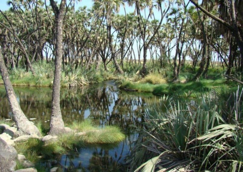 3-Day Wild Wonders and Nature, Awash National Park Tour - Exploring Awash National Park: A Closer Look