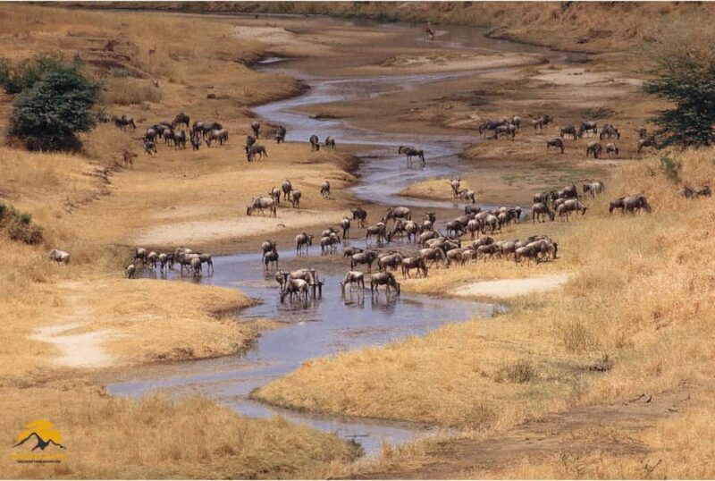 3-Day Wildlife Wonder! Tarangire, Lake Manyara & Ngorongoro. - Key Points