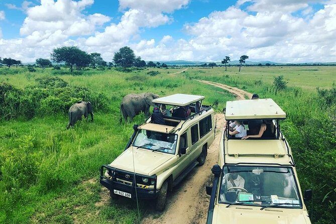 3 Days 2 Nights Adventures At Mikumi National Park - Exploring the 3 Days 2 Nights Adventures at Mikumi National Park