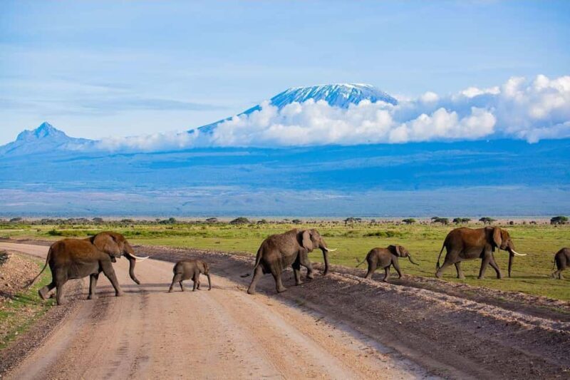 3 Days 2 Nights Amboseli National Park Tour - 3 Days 2 Nights Amboseli National Park Tour: A Complete Guide