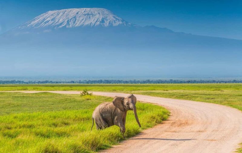 3 Days 2 Nights Amboseli National Park Tour - Key Points
