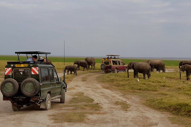 3 Days 2 Nights Amboseli National Park Tour - Key Points