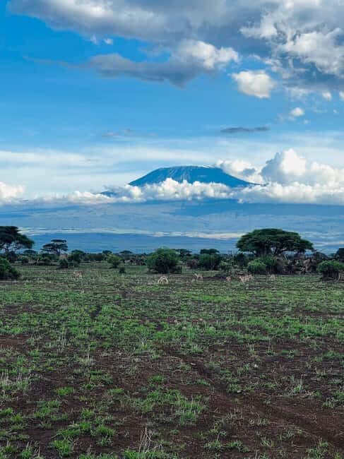 3 Days, 2 Nights Amboseli Private Budget Safari - Day 2: Full-Day Wildlife Exploration