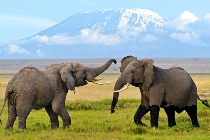 3 Days 2 Nights Amboseli Safari - Key Points