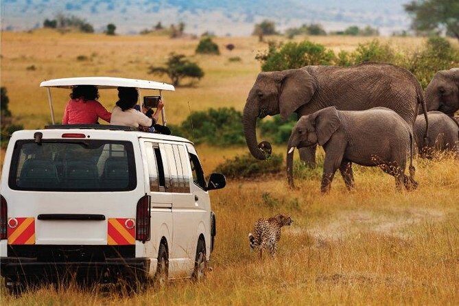 3 Days 2 Nights Amboseli Safari - Who Is This Safari Best For?