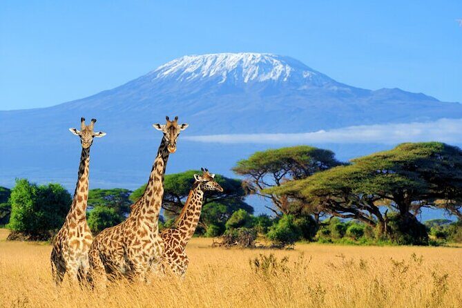 3 Days 2 Nights Amboseli Safari - Final Thoughts