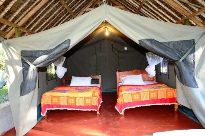 3 days 2 nights budget group safari to Maasai Mara National Reserve - Who Should Consider This Safari?