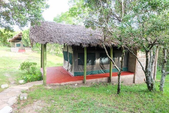 3 days 2 nights budget group safari to Maasai Mara National Reserve - Final Thoughts