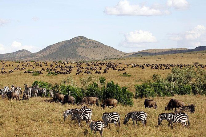 3 days 2 nights budget group safari to Maasai Mara National Reserve - FAQs